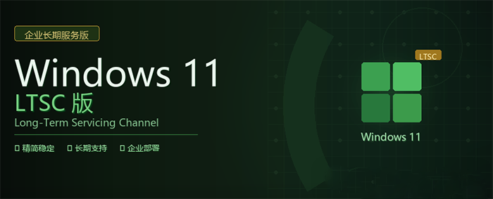 Win11 LTSC 企业版 Win11 LTSC 企业版